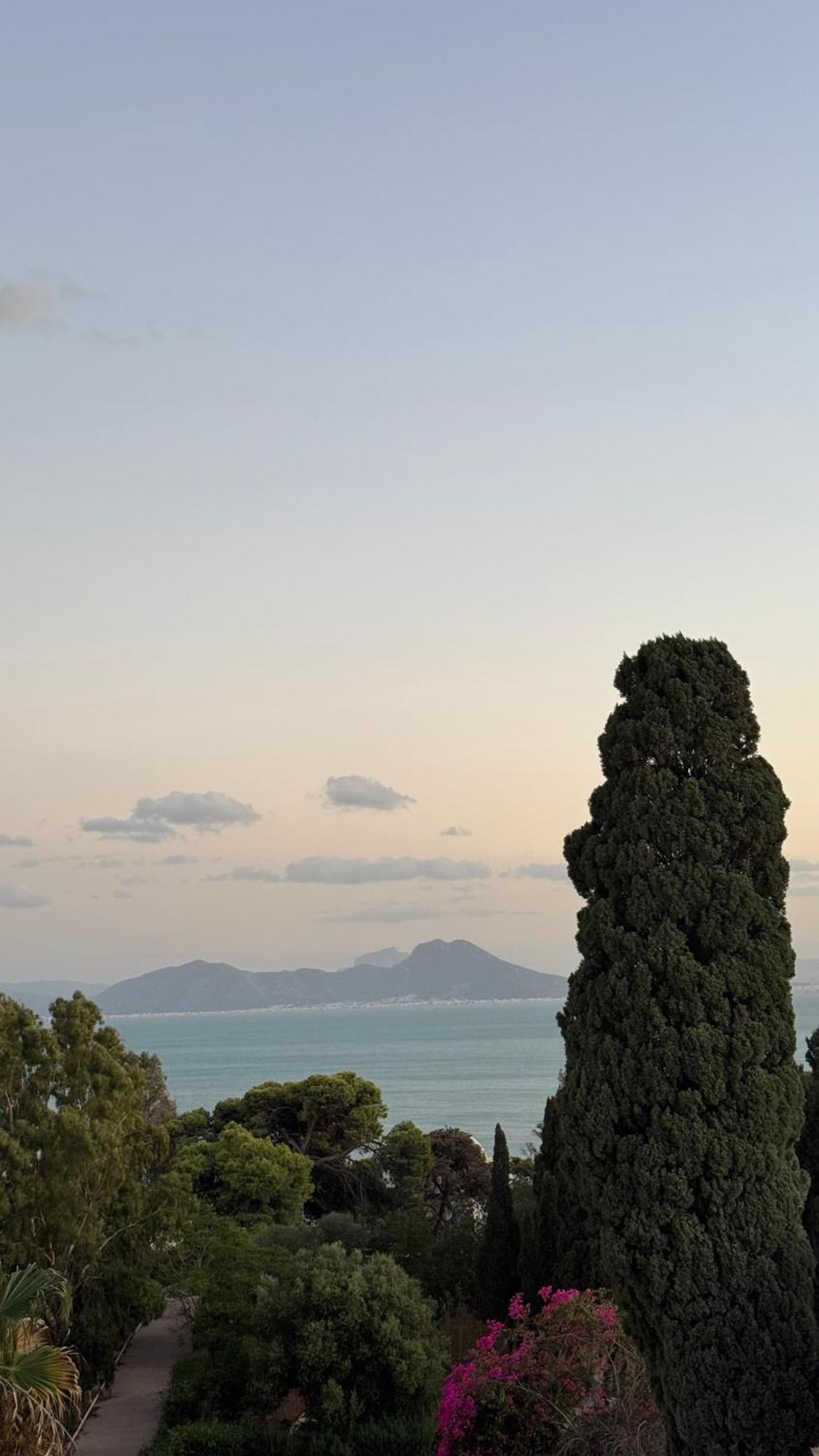 Panoramic 360 Degrees View Sidi Bousaid Sidi Bou Ali 外观 照片